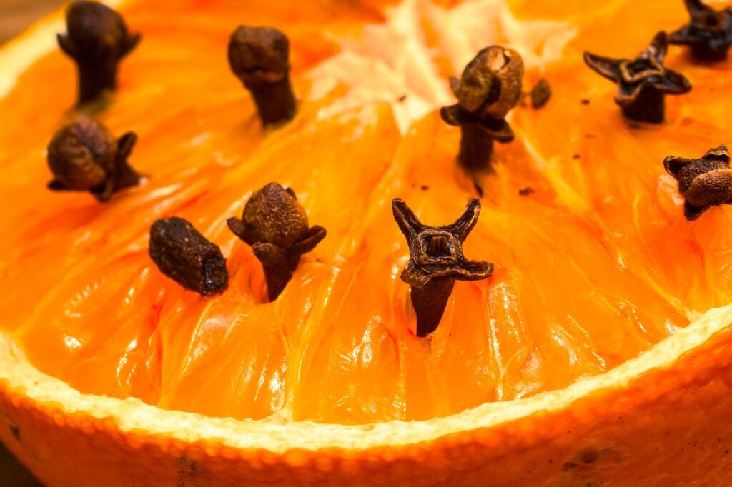 Close-up of an orange half studded with whole cloves—a traditional natural mosquito-repellent craft